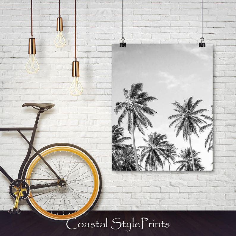 May include: Black and white photograph of palm trees against a cloudy sky. The image is printed on a canvas and framed with a thin black frame.