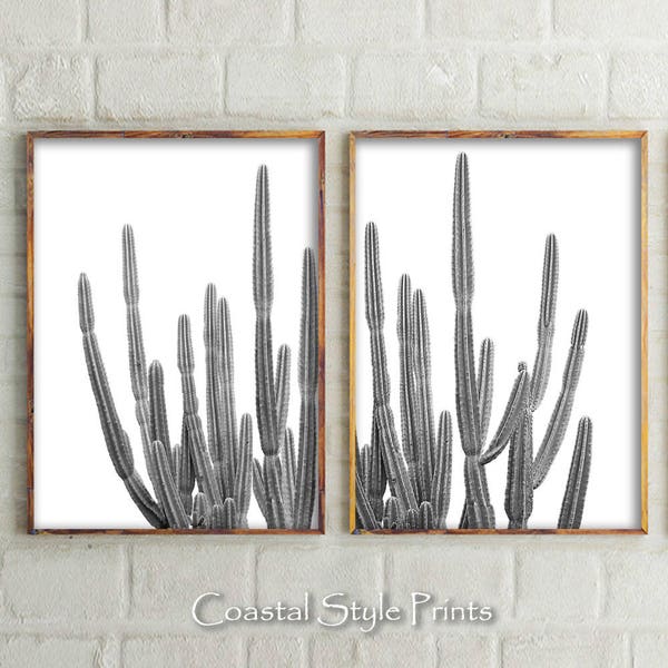 Set Of 2 Cactus Prints, Black and White Photography, Cactus Wall Art, Cactus, Black and White, Cactus Print, Wall Art, Prints, Australia