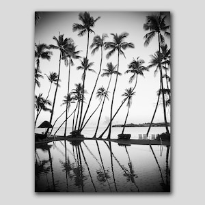 Monochrome Photography, Palm Trees Print, Tropical Print, Ocean Print, Palm Decor, Coastal Art, Beach Wall Art, B & W, Beach Print, 120 image 3