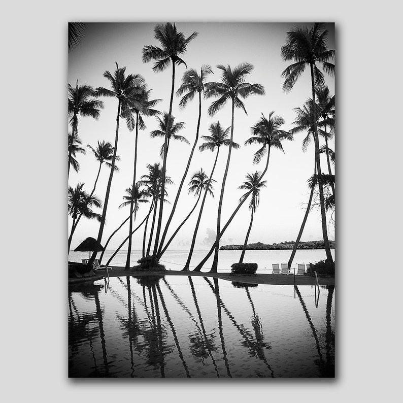 Monochrome Photography, Palm Trees Print, Tropical Print, Ocean Print, Palm Decor, Coastal Art, Beach Wall Art, B & W, Beach Print, 120 image 3