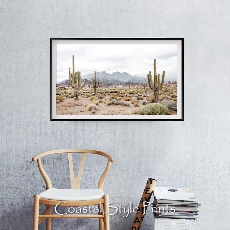 May include: A framed photograph of a desert landscape with tall cacti and a mountain range in the background. The sky is cloudy and the ground is dry and sandy.