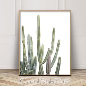 Woestijncactuskunst, succulente print, botanische print, boho-muurdecoratie, cactuskunst, cactusprint, kunst aan de muur, TX, cactusfotografie, Australië