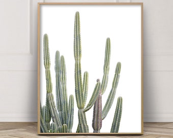 Desert Cactus Art, Succulent Print, Botanical Print, Boho Wall Decor, Cactus Art, Cactus Print, Wall Art, TX,Cactus Photography, Australia