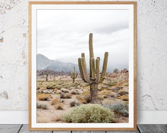 Desert Decor, Prints Wall Art, Desert Print, Desert Wall Art,Printable Desert Wall Decor,Prints,Desert Cactus Print,South Western, Arizona