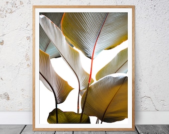 Neutral Tones Print, Banana Leaf Print, Tropical Decor, Botanical Art, Leaf Art, Sepia Photography, Banana Leaf, Tropical Wall Art, 137