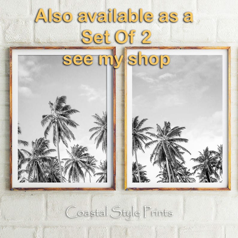 May include: Two black and white framed prints of palm trees against a cloudy sky. The text "Also available as a Set Of 2 see my shop" is printed above the prints. The text "Coastal Style Prints" is printed below the prints.