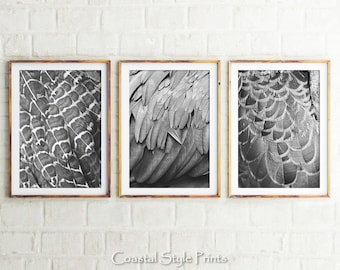 Federn Wand Kunst 3er-Set Drucke, Schwarzweiß-Set, Moderne Wanddekoration, Fotografie, Federdruck, Federkunst, abstrakte Wandkunst