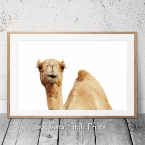 Camel Photography, Camel Wall Art,Nursery Print,Desert Art Prints,Animal Wall Art,Camel Poster, Printable Poster, Digital Download