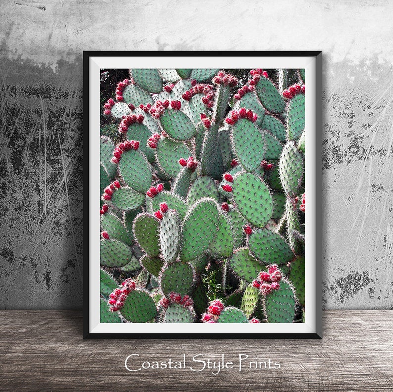 Prickly Pear Cactus, Green Wall Art, Colorful Art Print, Digital Print, Cactus Photography, Cactus Print, Red Green Art, Cactus Wall Decor image 5