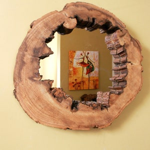 Tree slice wall  Mirror Live Edge Wood Rustic Walnut Wood from a tree Cross-section with tree edge up or across Handmade Asymmetrical mirror