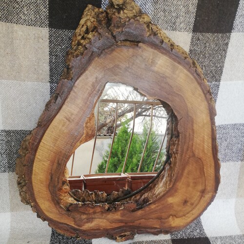 Tree slice wall  Mirror Live Edge Wood Rustic Walnut Wood from a tree Cross-section with tree edge up or across Handmade Asymmetrical mirror