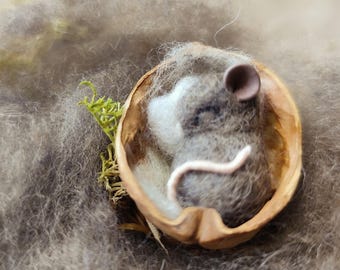 Needle felted mouse, walnut shell art, length 4cm. Sleeping mouse.