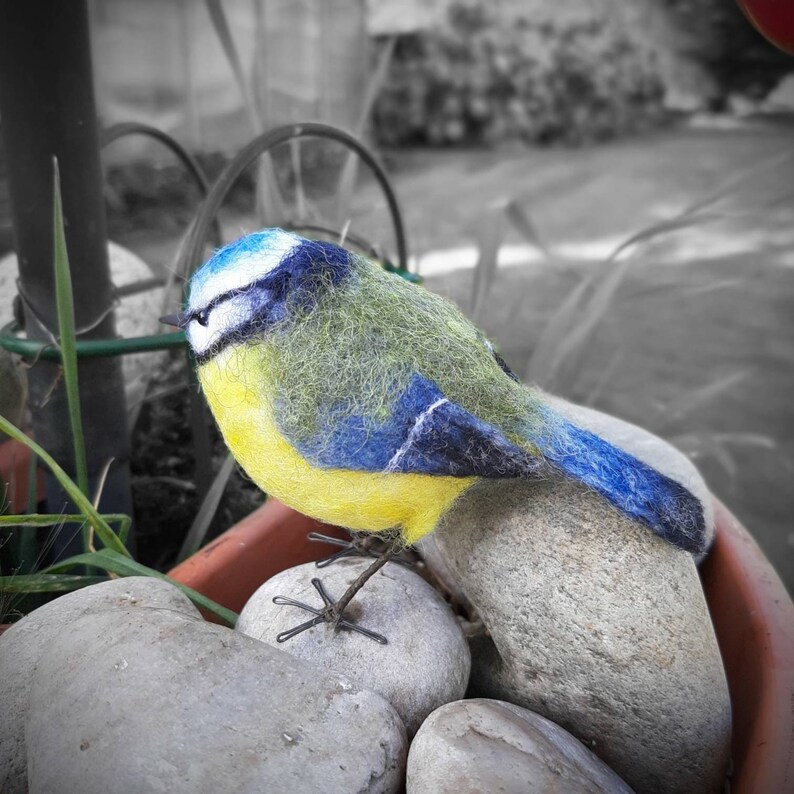 Blue tit Needle felted blue tit gifts for gardener blue tit decoration gifts for bird lovers bird ornament garden bird