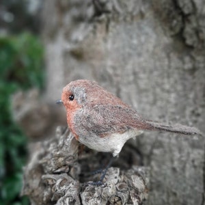 Needle felted robin, robin redbreast, gifts for bird lover, bird ornament, robin decoration, felt birds, garden lover gifts, nature lover image 10