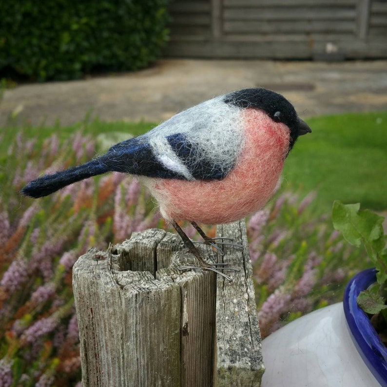 Needle felted bullfinch felt bird gift for bird lover garden Etsy