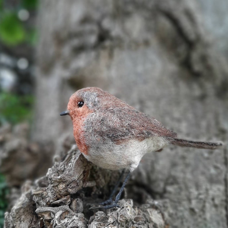 Needle felted robin, robin redbreast, gifts for bird lover, bird ornament, robin decoration, felt birds, garden lover gifts, nature lover image 3