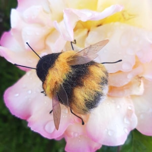 Bumble bee , needle felted bee, felt bee, felted bumble bee, bees, gifts for gardener, image 1