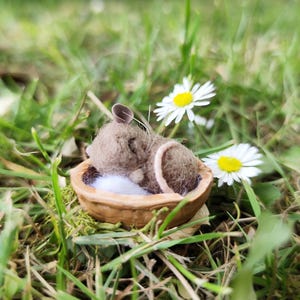 Könnte beinhalten: Eine Miniatur-Filzmaus, zusammengerollt in einem Walnussschalenbett, eingebettet in ein Bett aus weißem Flaum. Die Maus ist braun mit einem kleinen Ohr. Zwei weiße Gänseblümchen mit gelben Zentren befinden sich im Hintergrund, im grünen Gras.