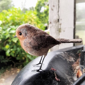 Needle felted robin, robin redbreast, gifts for bird lover, bird ornament, robin decoration, felt birds, garden lover gifts, nature lover image 9