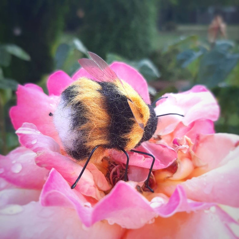 Bumble bee , needle felted bee, felt bee, felted bumble bee, bees, gifts for gardener, image 5