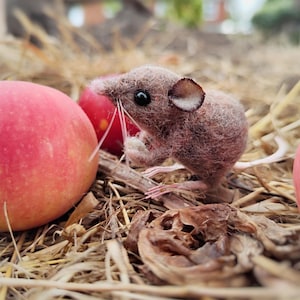 May include: A small, brown, needle-felted mouse figurine with black bead eyes, long whiskers, and pinkish paws. The mouse is positioned next to a large, round, red apple, with its front paws held up near its face as if holding a small object.