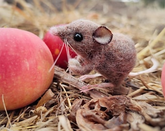 Ratón de campo de fieltro con aguja: Adorno de animal de bosque en miniatura de lana