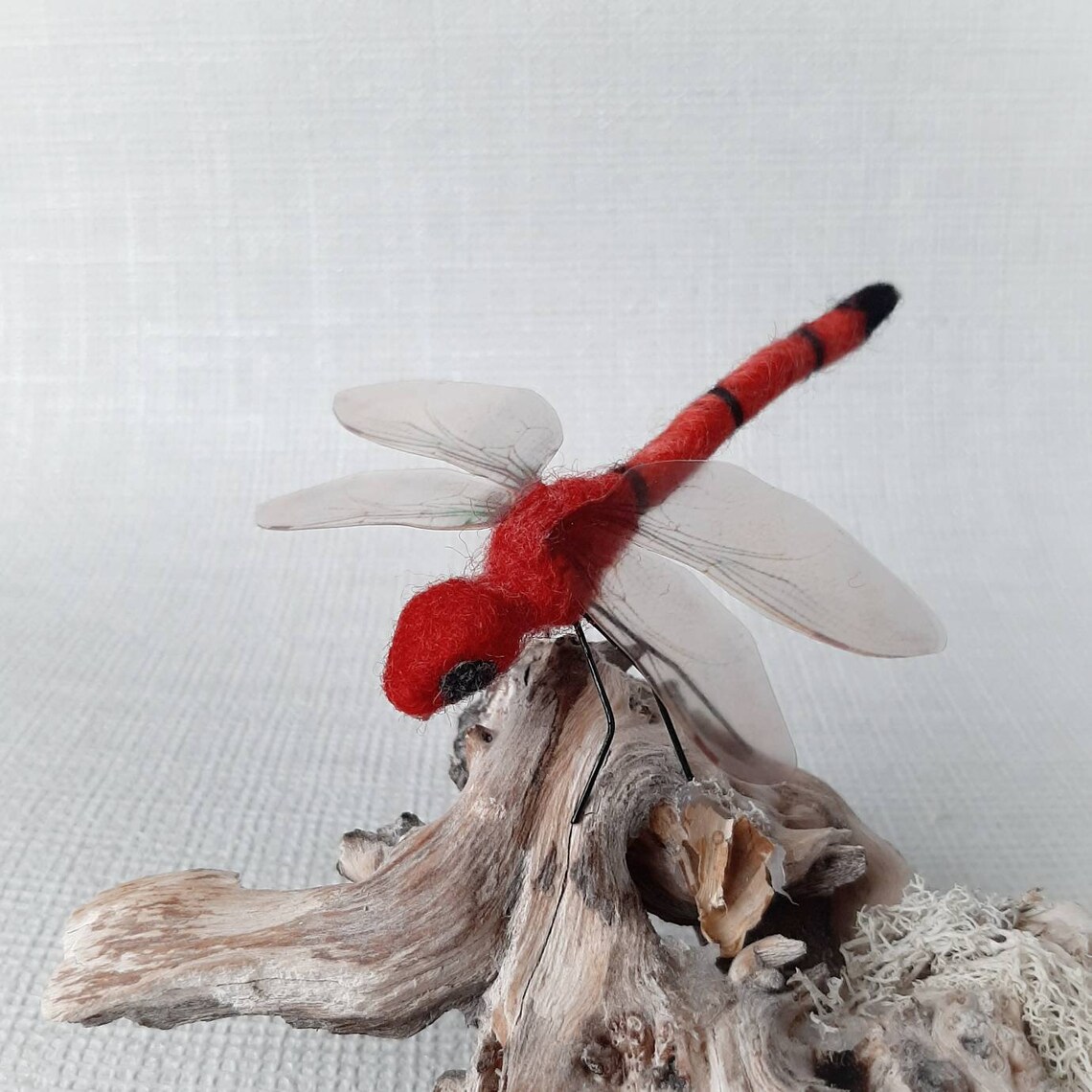 Dragonfly needle felted animal felt dragonfly gift for Etsy