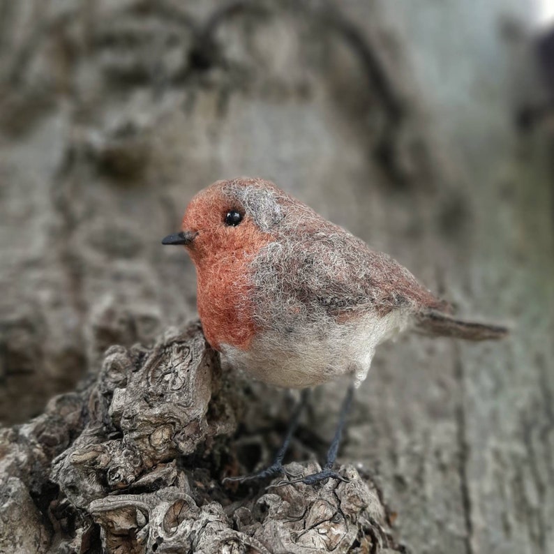 Needle felted robin, robin redbreast, gifts for bird lover, bird ornament, robin decoration, felt birds, garden lover gifts, nature lover image 2