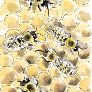 Honingbijen aquareltekening ondertekend printSouvenir