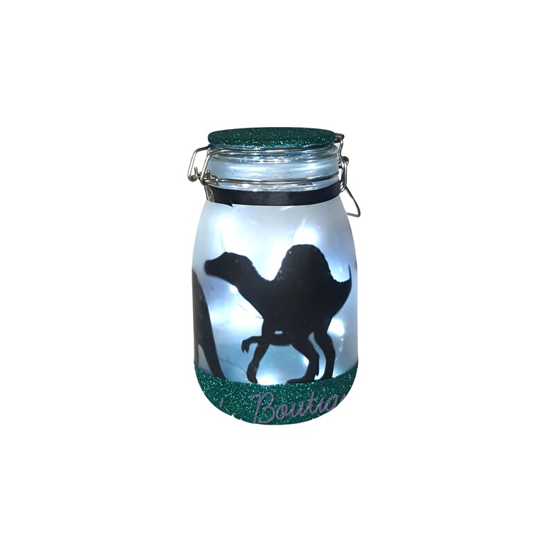 May include: A teal green glass jar with a metal lid and a white light inside. The jar has a silhouette of a dinosaur on the front and the word "Boutique" on the bottom.