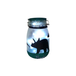 May include: A glass jar with a green glitter lid and a silhouette of a dinosaur inside. The jar is lit from within with white LED lights.