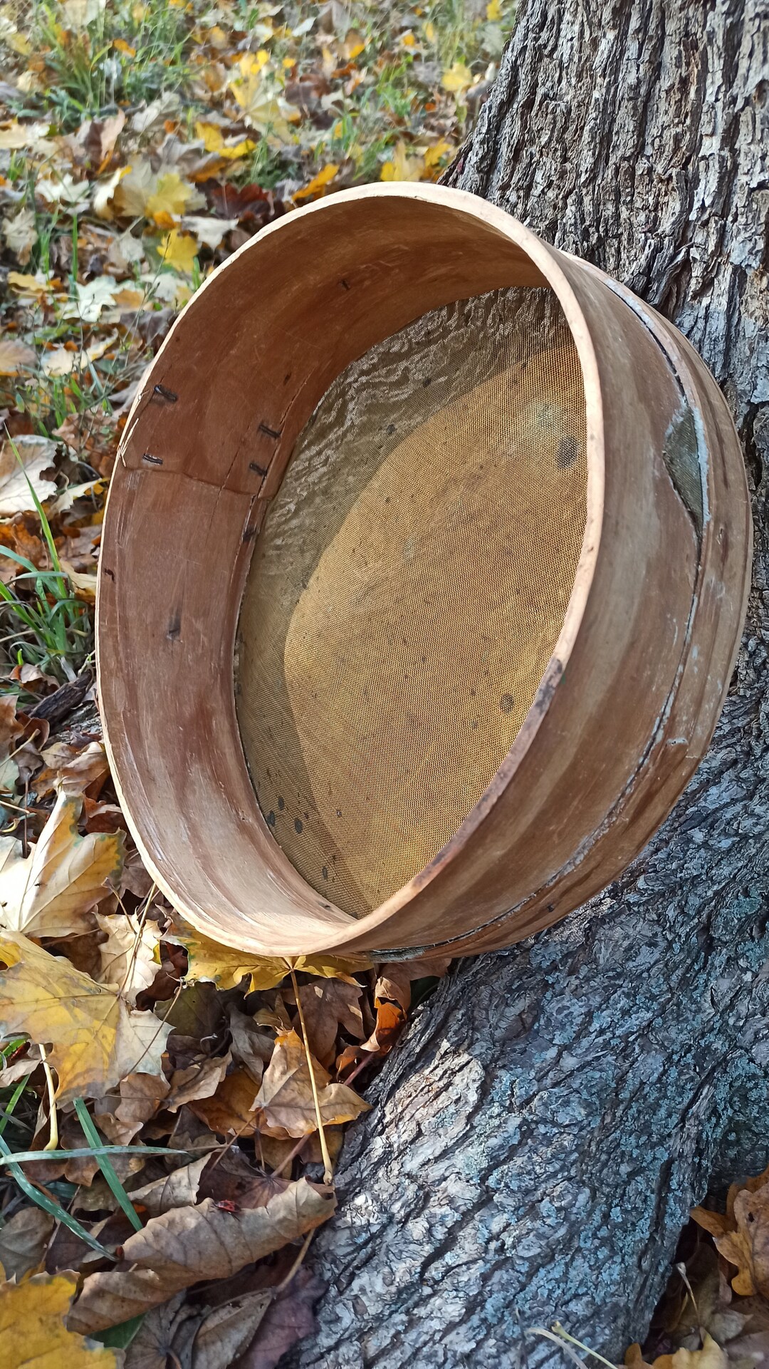 Big Antique Wood Sieve Vintage Large Sieve Sieve Big Wooden Etsy