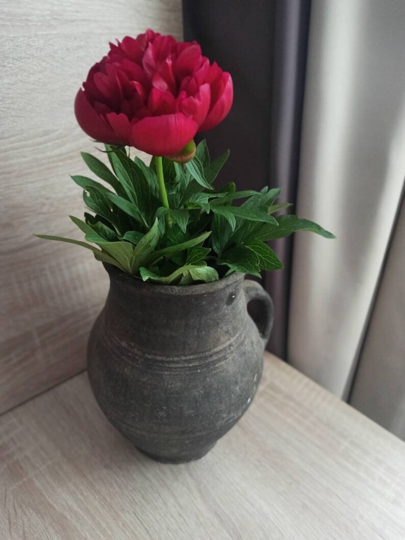 Pode incluir: Uma vibrante flor de pe&oacute;nia vermelha em plena flora&ccedil;&atilde;o, colocada num vaso de cer&acirc;mica cinzento escuro r&uacute;stico com asa. O vaso est&aacute; sobre uma superf&iacute;cie clara com gr&atilde;o de madeira, com folhas verdes.
