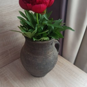 Pode incluir: Uma vibrante flor de pe&ocirc;nia vermelha em plena flora&ccedil;&atilde;o, colocada em um vaso de cer&acirc;mica marrom escuro r&uacute;stico com uma al&ccedil;a. O vaso est&aacute; sobre uma superf&iacute;cie de madeira clara, com folhas verdes ao redor da flor.