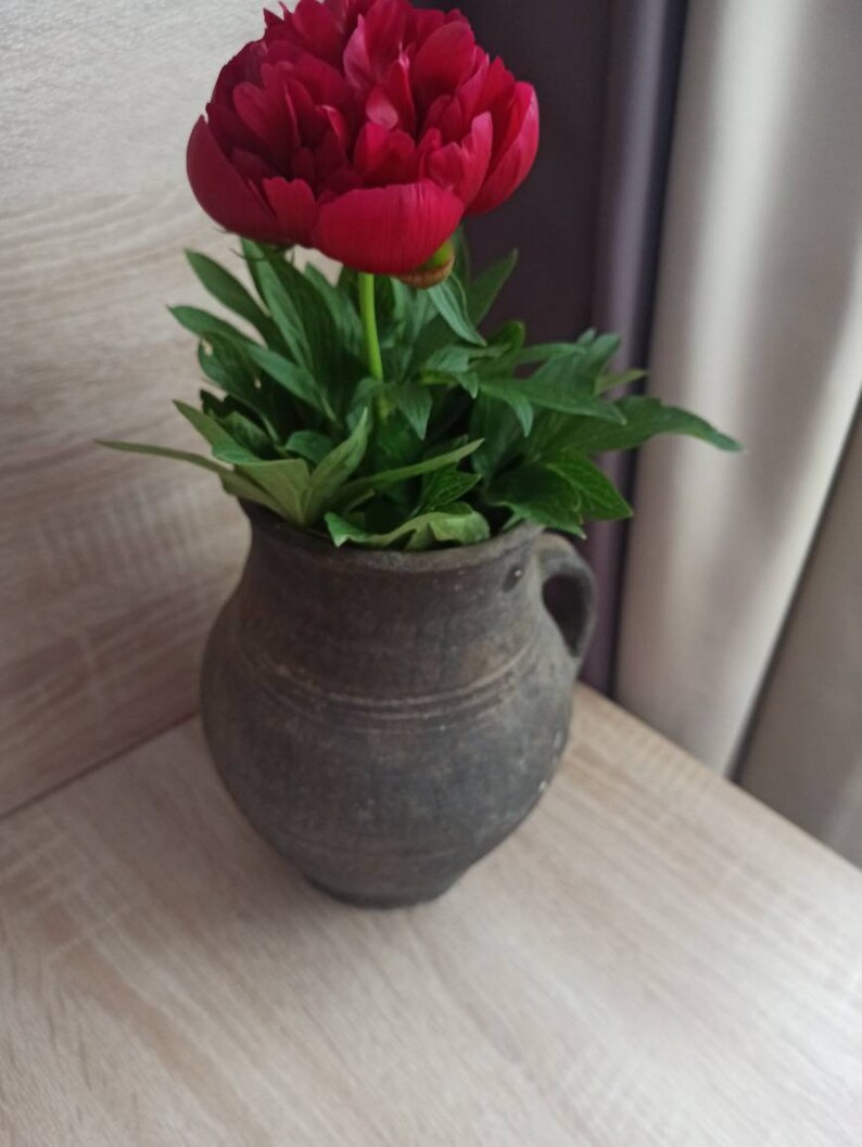 Pode incluir: Uma vibrante flor de pe&ocirc;nia vermelha em plena flora&ccedil;&atilde;o, colocada em um vaso de cer&acirc;mica marrom escuro r&uacute;stico com uma al&ccedil;a. O vaso est&aacute; sobre uma superf&iacute;cie de madeira clara, com folhas verdes ao redor da flor.