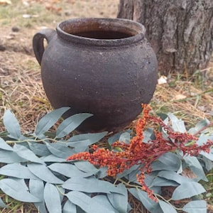 Può includere: Un vaso di terracotta marrone scuro con un manico, seduto su un letto di foglie verdi e aghi di pino marroni.