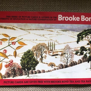 Trees in Britain Brooke Bond Tea Cards Complete book Lovely Vintage Retro collectable image 5