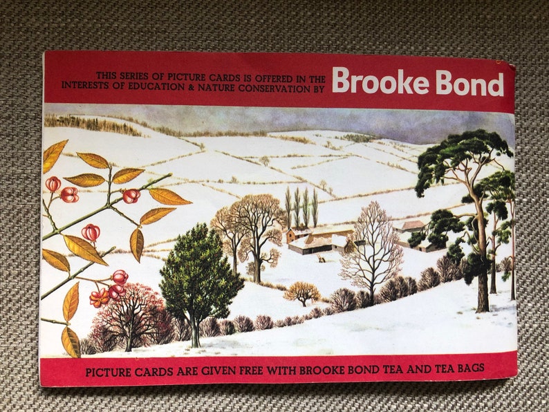 Trees in Britain Brooke Bond Tea Cards Complete book Lovely Vintage Retro collectable image 5