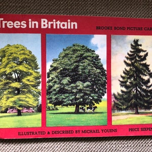 Trees in Britain Brooke Bond Tea Cards Complete book Lovely Vintage Retro collectable image 1