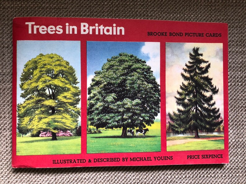 Trees in Britain Brooke Bond Tea Cards Complete book Lovely Vintage Retro collectable image 1