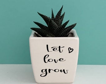 Ceramic plant pot, mini planter, Valentine’s Day gift. let love grow, succulent pot, cactus planter, anniversary gift, gift for her,