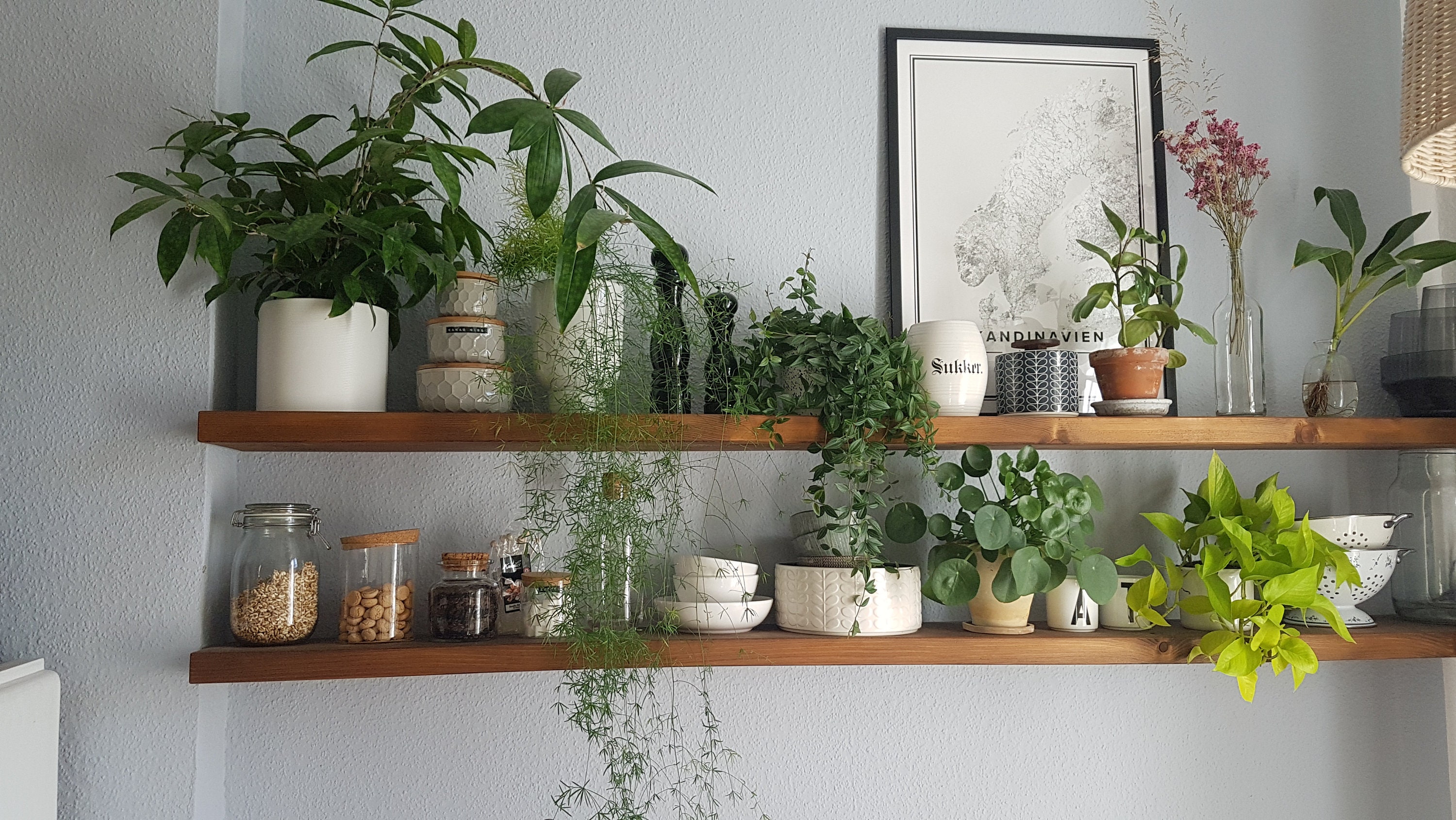 Rustikales Massivholz Wandregal 24cm tief / 45cm stark / | Etsy