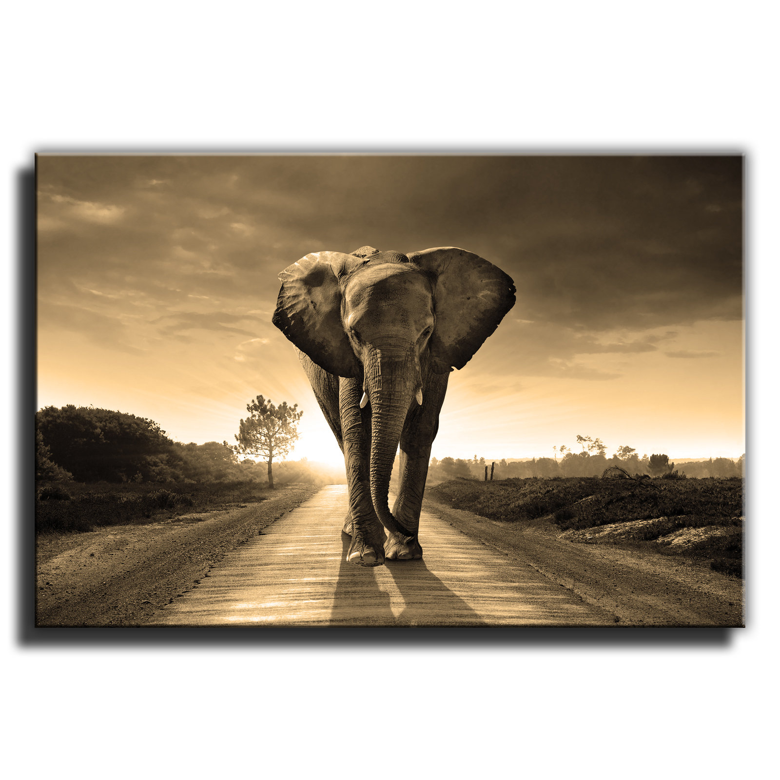 Elephant Sepia Canvas Wall Art Print Framed Etsy UK