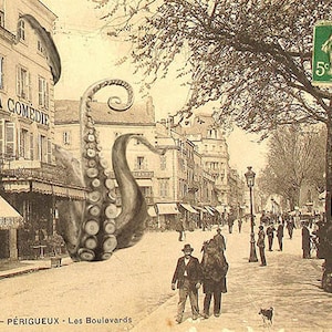 Carte postale : kraken invading old french town