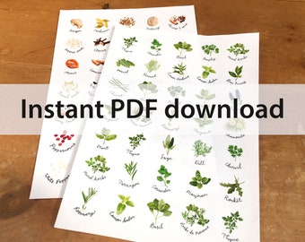 May include: Two printable sheets of watercolor illustrations of various herbs and spices. The top sheet features spices like ginger, cardamom, cloves, and thyme. The bottom sheet features herbs like rosemary, mint, sage, and dill. The text "Instant PDF download" is printed across the middle of the sheets.