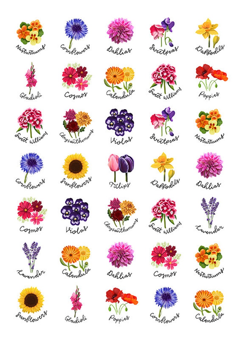 flower stickers a4 sheet of circular stickers with
