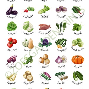 Fruit & Vegetable stickers, A4 sheet of 35 circular stickers with original illustrations image 4