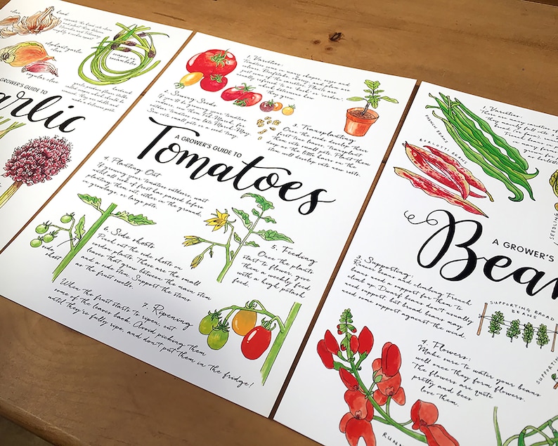 A Grower/'s Guide to .. A4 print for framing