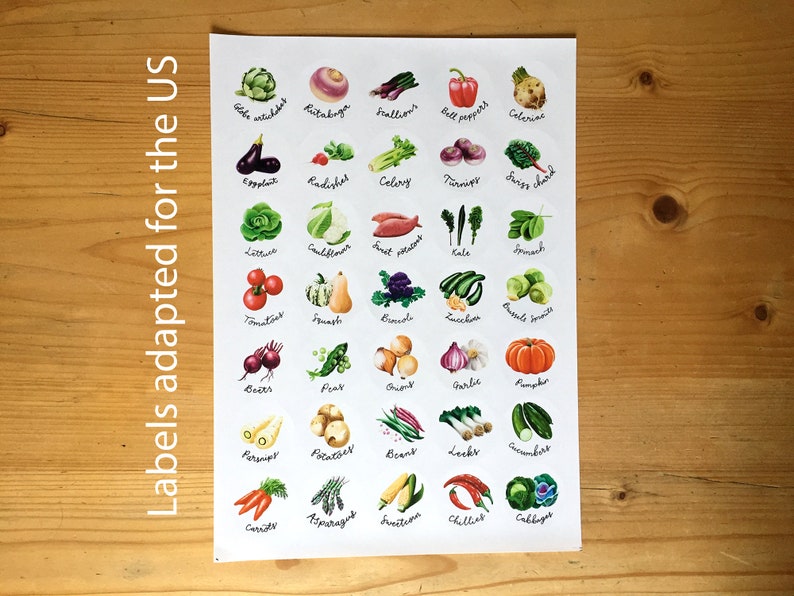 Fruit & Vegetable stickers, A4 sheet of 35 circular stickers with original illustrations image 6