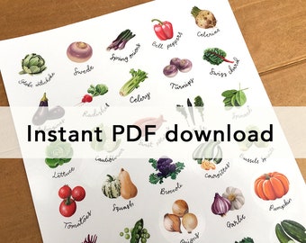 PDF of Fruit and Veg stickers for printing at home